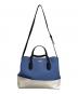 Kate Spade (ケイトスペード) 2WAYショルダーバッグ ブルー×ホワイト：5000円