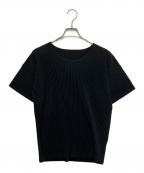 HOMME PLISSE ISSEY MIYAKEオム プリッセ イッセイ ミヤケ）の古着「プリーツカットソー」｜ブラック