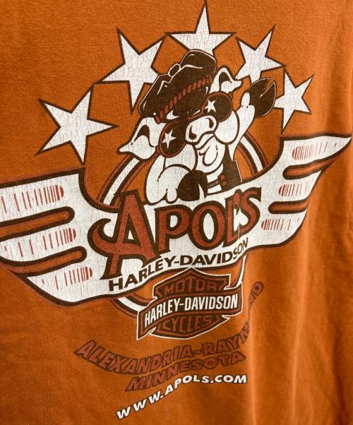 HARLEY-DAVIDSON（ハーレーダビッドソン）HARLEY-DAVIDSON (ハーレーダビッドソン) フレイムパターンプリントカットソー オレンジ サイズ:XXLの古着・服飾アイテム
