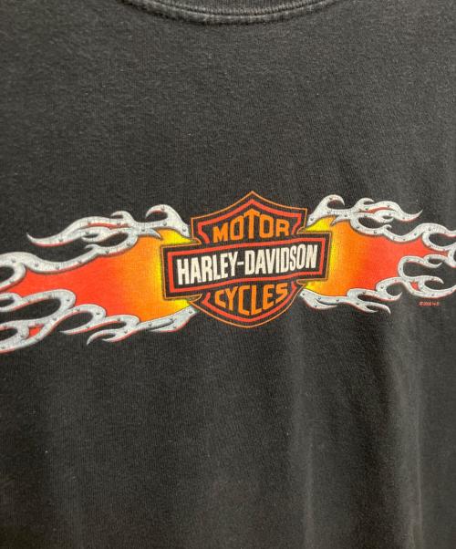 HARLEY-DAVIDSON（ハーレーダビッドソン）HARLEY-DAVIDSON (ハーレーダビッドソン) フレイムパターンプリントカットソー ブラック サイズ:2XLの古着・服飾アイテム