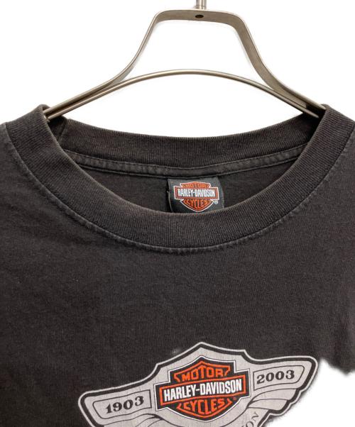 HARLEY-DAVIDSON（ハーレーダビッドソン）HARLEY-DAVIDSON (ハーレーダビッドソン) プリントTシャツ ブラック サイズ:不明の古着・服飾アイテム