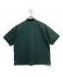 DAIWA PIER39 (ダイワ ピア39) TECH POLO SHIRTS S/S グリーン サイズ:L：8000円