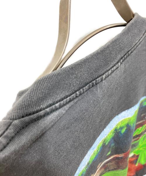 CHANGES（チェンジズ）CHANGES (チェンジズ) ヴィンテージフロッグプリントTシャツ ブラック サイズ:Ｌの古着・服飾アイテム