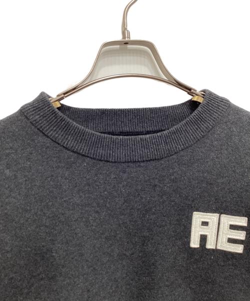 Adam et Rope（アダム エ ロペ）Adam et Rope (アダム エ ロペ) フェルト刺しゅうニットプルオーバー グレー サイズ:36の古着・服飾アイテム