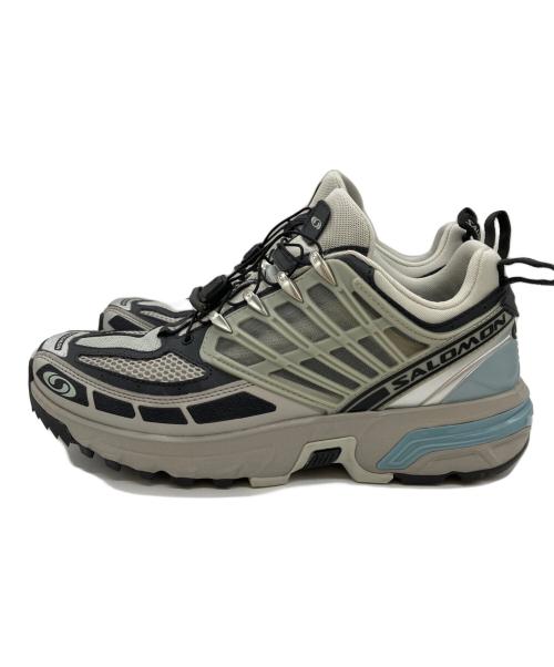 SALOMON（サロモン）SALOMON (サロモン) スニーカー グレー サイズ:27の古着・服飾アイテム