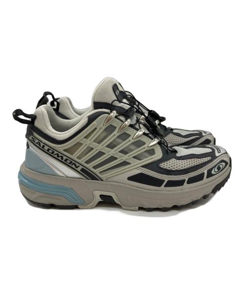SALOMON（サロモン）SALOMON (サロモン) スニーカー グレー サイズ:27の古着・服飾アイテム