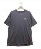 Patagoniaパタゴニア）の古着「Men's '73 Skyline T-Shirt」｜グレー
