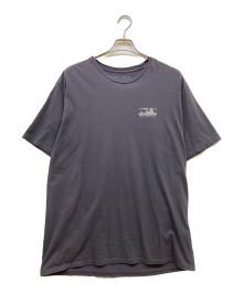Patagonia（パタゴニア）の古着「Men's '73 Skyline T-Shirt」｜グレー