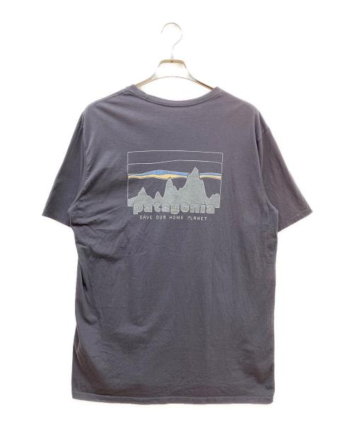 Patagonia（パタゴニア）Patagonia (パタゴニア) Men's '73 Skyline T-Shirt グレー サイズ:SIZE Lの古着・服飾アイテム