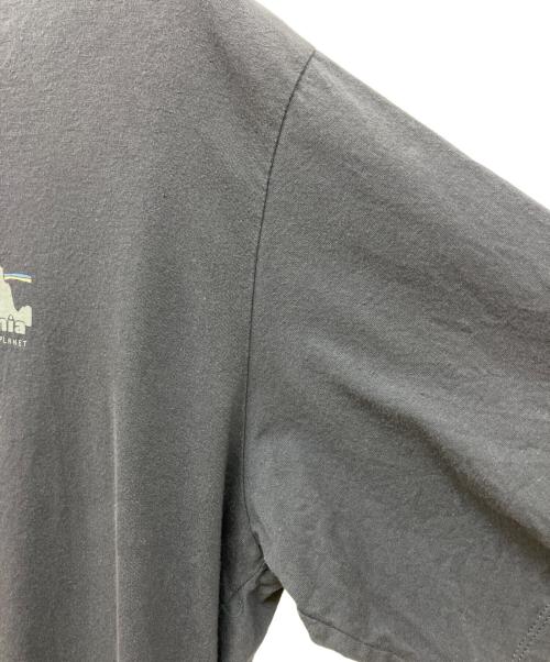 Patagonia（パタゴニア）Patagonia (パタゴニア) Men's '73 Skyline T-Shirt グレー サイズ:SIZE Lの古着・服飾アイテム