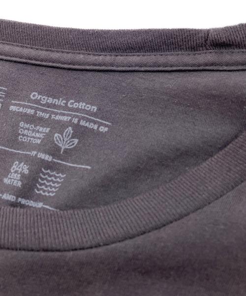 Patagonia（パタゴニア）Patagonia (パタゴニア) Men's '73 Skyline T-Shirt グレー サイズ:SIZE Lの古着・服飾アイテム