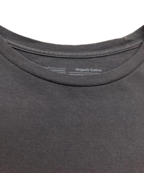 Patagonia（パタゴニア）Patagonia (パタゴニア) Men's '73 Skyline T-Shirt グレー サイズ:SIZE Lの古着・服飾アイテム