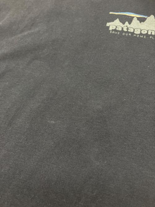 Patagonia（パタゴニア）Patagonia (パタゴニア) Men's '73 Skyline T-Shirt グレー サイズ:SIZE Lの古着・服飾アイテム