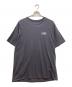 Patagonia（パタゴニア）の古着「Men's '73 Skyline T-Shirt」｜グレー