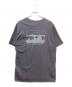 Patagonia (パタゴニア) Men's '73 Skyline T-Shirt グレー サイズ:SIZE L：4000円