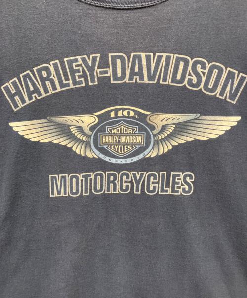 HARLEY-DAVIDSON（ハーレーダビッドソン）HARLEY-DAVIDSON (ハーレーダビッドソン) プリントカットソー グレー サイズ:SIZE 2XLの古着・服飾アイテム