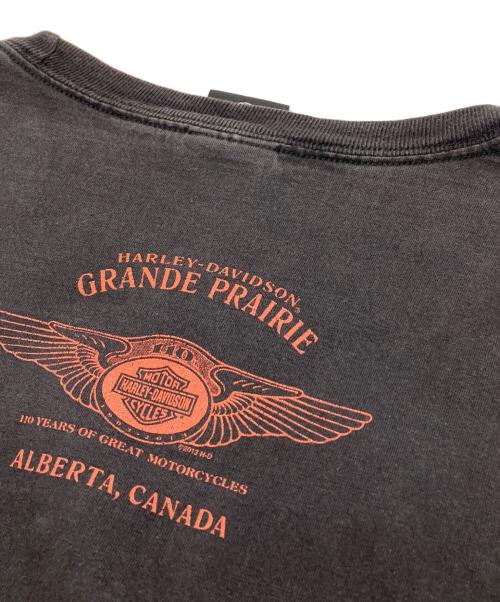 HARLEY-DAVIDSON（ハーレーダビッドソン）HARLEY-DAVIDSON (ハーレーダビッドソン) プリントカットソー グレー サイズ:SIZE 2XLの古着・服飾アイテム
