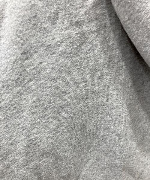THE NORTH FACE（ザ ノース フェイス）THE NORTH FACE (ザ ノース フェイス) ジップパーカー グレー サイズ:SIZE Lの古着・服飾アイテム