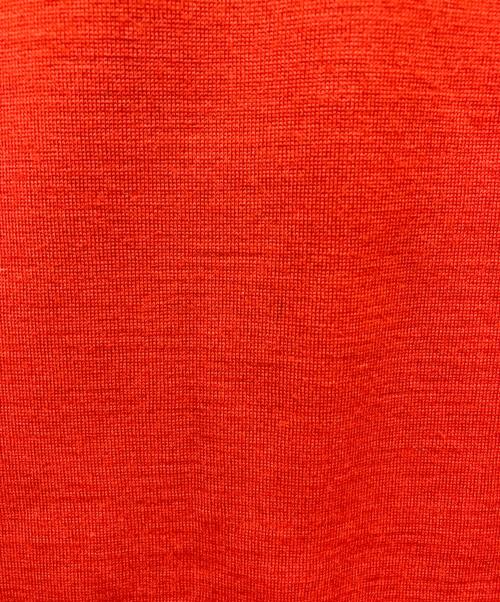 COMME des GARCONS（コムデギャルソン）COMME des GARCONS (コムデギャルソン) ウールカットソー レッド サイズ:-の古着・服飾アイテム