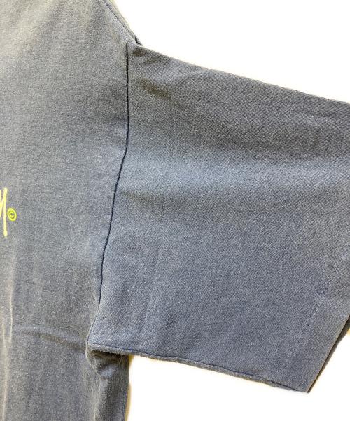 stussy（ステューシー）stussy (ステューシー) プリントTシャツ ブルー サイズ:SIZE Lの古着・服飾アイテム