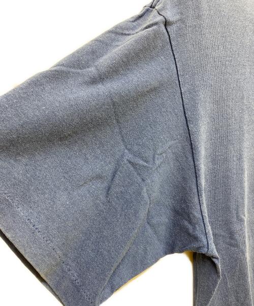 stussy（ステューシー）stussy (ステューシー) プリントTシャツ ブルー サイズ:SIZE Lの古着・服飾アイテム