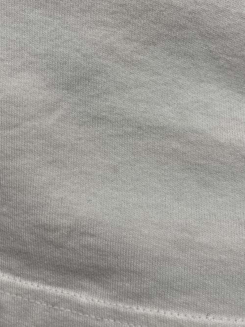 GOODENOUGH IVY（グッドイナフ アイビー）GOODENOUGH IVY (グッドイナフ アイビー) ロゴプリントTシャツ ホワイト サイズ:１の古着・服飾アイテム