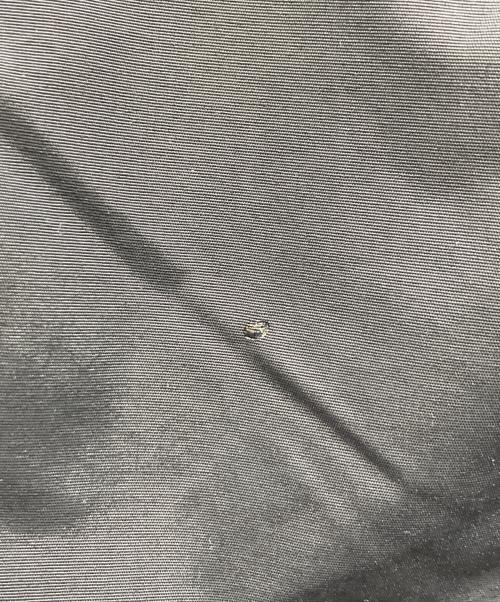 POLO SPORT（ポロスポーツ）POLO SPORT (ポロスポーツ) ナイロンクライミングパンツ ブラック サイズ:Lの古着・服飾アイテム