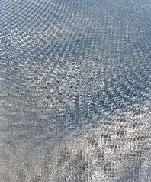 MAMMUT（マムート）MAMMUT (マムート) Flexidown Jacket ブルー サイズ:Mの古着・服飾アイテム