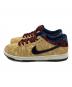 NIKE SB (ナイキエスビー) Dunk Low Pro 