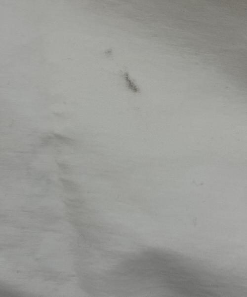 SLOBE IENA（スローブ イエナ）SLOBE IENA (スローブ イエナ) ボンディングハンターブルゾン ホワイト サイズ:Freeの古着・服飾アイテム