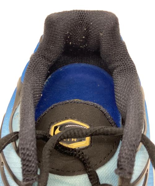 NIKE（ナイキ）NIKE (ナイキ) AIR MAX PLUS OG ブルー サイズ:US12の古着・服飾アイテム