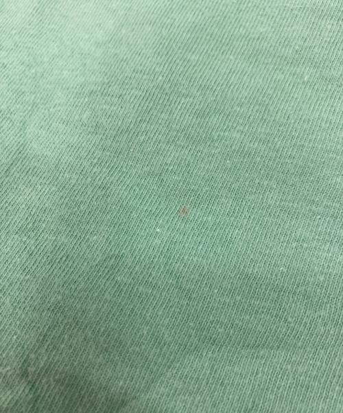 stussy（ステューシー）stussy (ステューシー) stussy プリントTシャツ グリーン サイズ:Sの古着・服飾アイテム