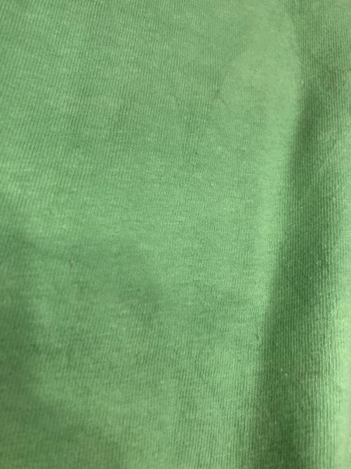 stussy（ステューシー）stussy (ステューシー) stussy プリントTシャツ グリーン サイズ:Sの古着・服飾アイテム