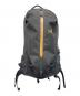 ARC'TERYX（アークテリクス）の古着「ARRO 22 BACKPACK」｜ブラック