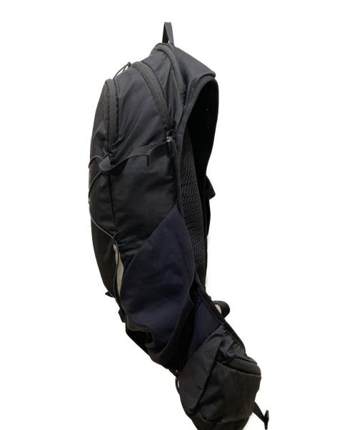 THE NORTH FACE（ザ ノース フェイス）THE NORTH FACE (ザ ノース フェイス) マーティン ウィング 16 バックパック ブラックの古着・服飾アイテム