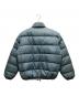 Patagonia (パタゴニア) ダウンジャケット スカイブルー サイズ:L：25000円