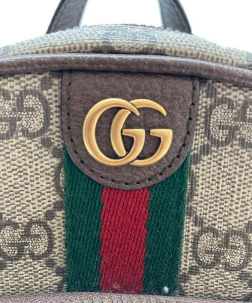GUCCI（グッチ）GUCCI (グッチ) オフィディア ミニショルダーバッグ ブラウンの古着・服飾アイテム