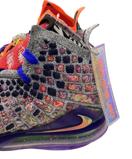 NIKE（ナイキ）NIKE (ナイキ) Lebron 17 
