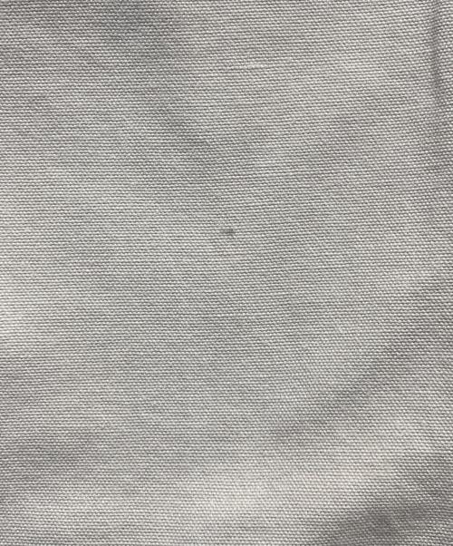 CarHartt（カーハート）CarHartt (カーハート) ダックパンツ ベージュ サイズ:42の古着・服飾アイテム