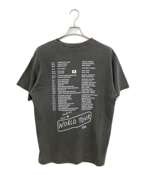 RED HOT CHILI PEPPERS（レッドホットチリペッパーズ）RED HOT CHILI PEPPERS (レッドホットチリペッパーズ) バンドTシャツ グレー サイズ:XLの古着・服飾アイテム
