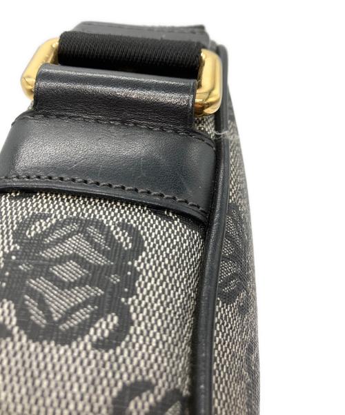 LOEWE（ロエベ）LOEWE (ロエベ) ショルダーバッグ グレーの古着・服飾アイテム