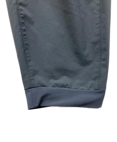 Patagonia（パタゴニア）Patagonia (パタゴニア) テルボンヌ ジョガーズ グレー サイズ:ＸＬの古着・服飾アイテム