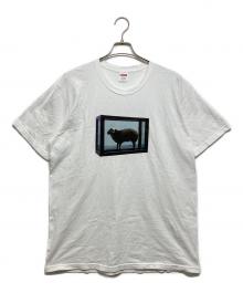 SUPREME×Damien Hirst（シュプリーム×ダミアン・ハースト）の古着「Damien Hirst tee」｜ホワイト