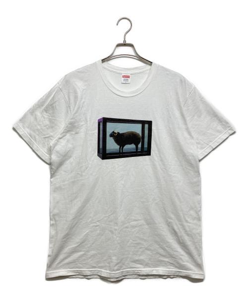 SUPREME（シュプリーム）SUPREME (シュプリーム) Damien Hirst (ダミアン・ハースト) Damien Hirst tee ホワイト サイズ:Ｌの古着・服飾アイテム