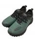 KEEN（キーン）の古着「ZIONIC WP」｜グリーン