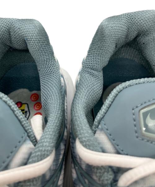 NIKE（ナイキ）NIKE (ナイキ) AIR Max PLUS ブルー サイズ:27の古着・服飾アイテム