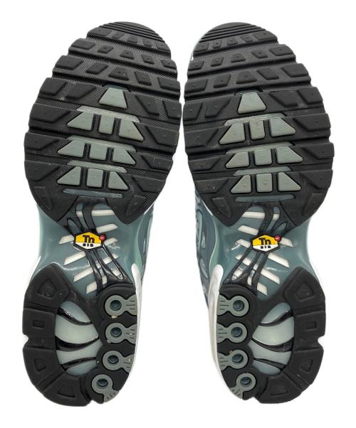 NIKE（ナイキ）NIKE (ナイキ) AIR Max PLUS ブルー サイズ:27の古着・服飾アイテム