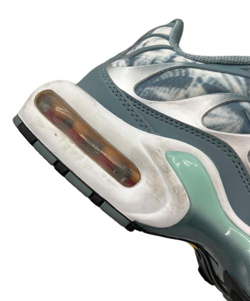 NIKE（ナイキ）NIKE (ナイキ) AIR Max PLUS ブルー サイズ:27の古着・服飾アイテム