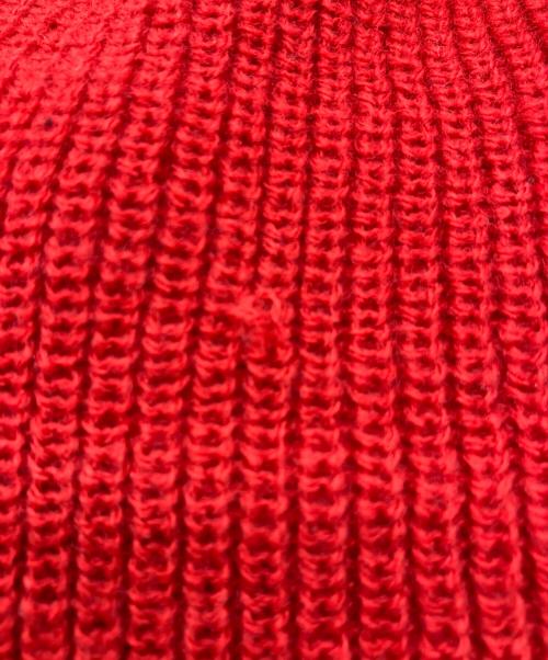 SUPREME（シュプリーム）Supreme (シュプリーム) GORE-TEX Beanie　20AW レッドの古着・服飾アイテム