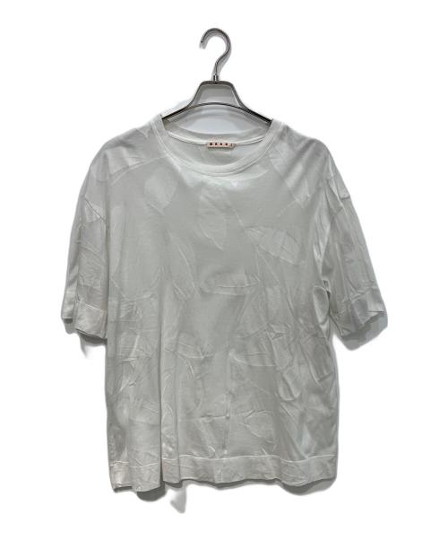 MARNI（マルニ）MARNI (マルニ) ジャガードTシャツ　E16THMAT49E00TCT78-JQW01 ホワイト サイズ:40の古着・服飾アイテム